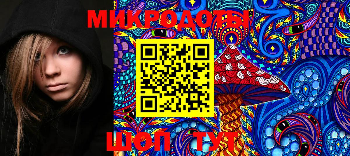 Псилоцибиновые грибы Psilocybine cubensis  Вход с VPN  Кириши 