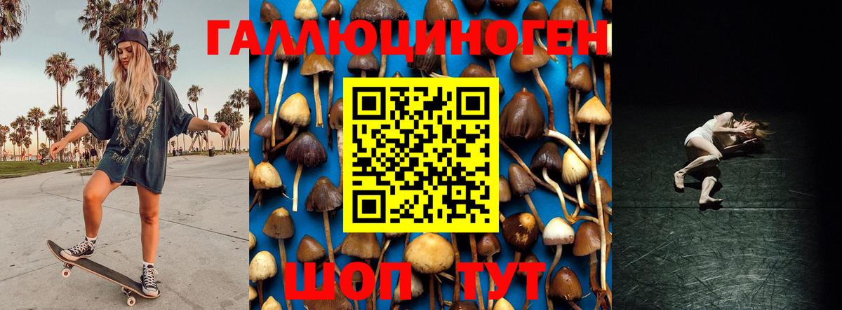 Псилоцибиновые грибы Psilocybine cubensis Кириши