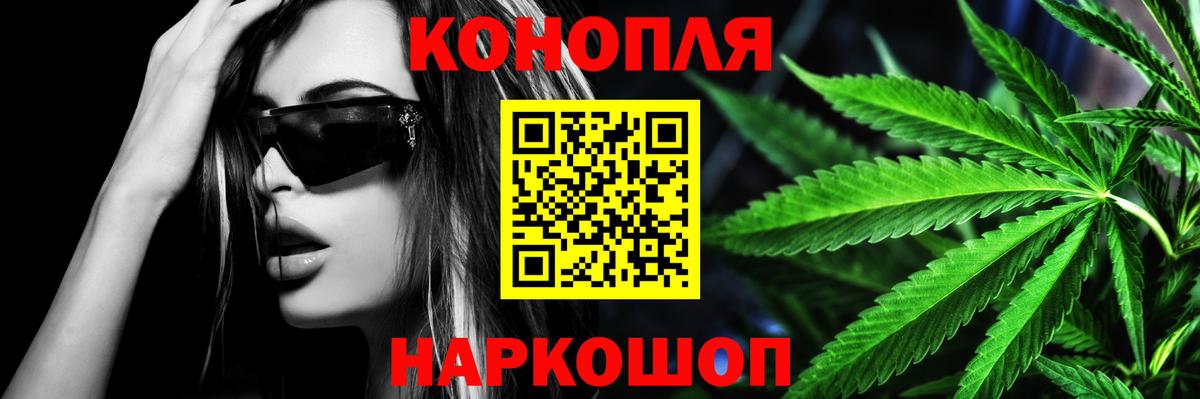 Бошки марихуана ГИДРОПОН  Каннабис сатива  Каннабис план  Кириши  Вход с VPN  Канабис OG Kush 